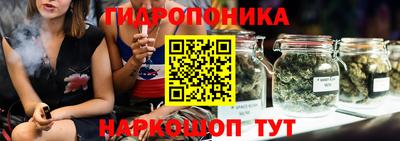 Альфа ПВП Аргун