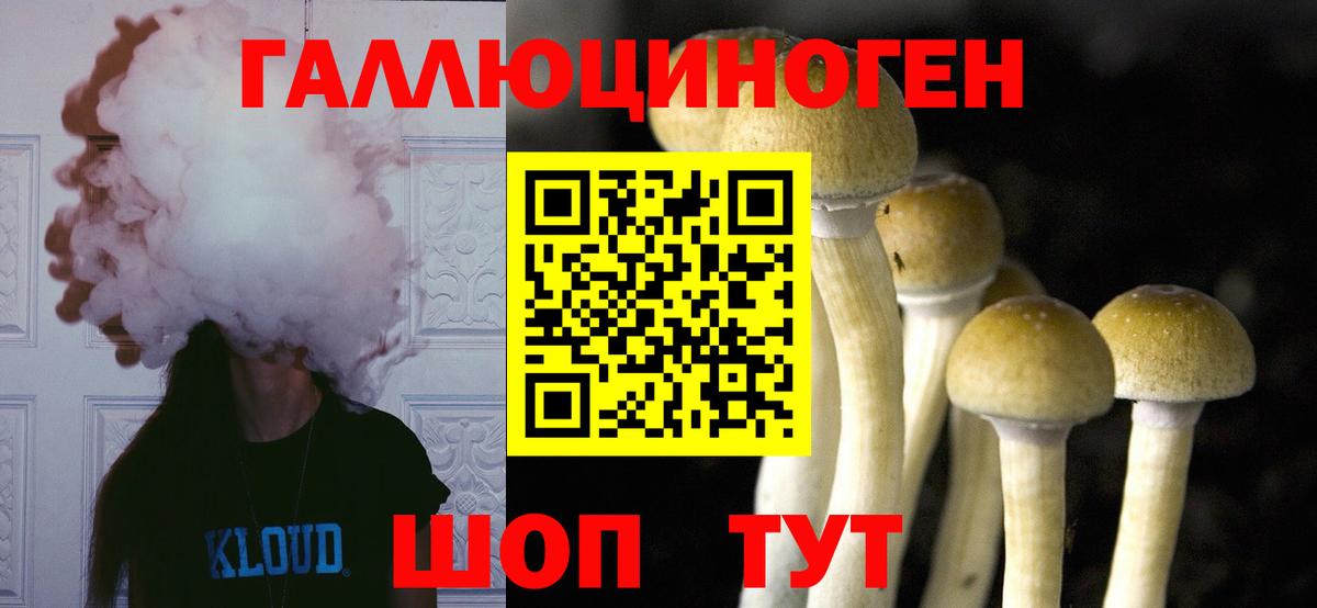 Галлюциногенные грибы мицелий  Вход с VPN  даркнет сайт  Бахчисарай 